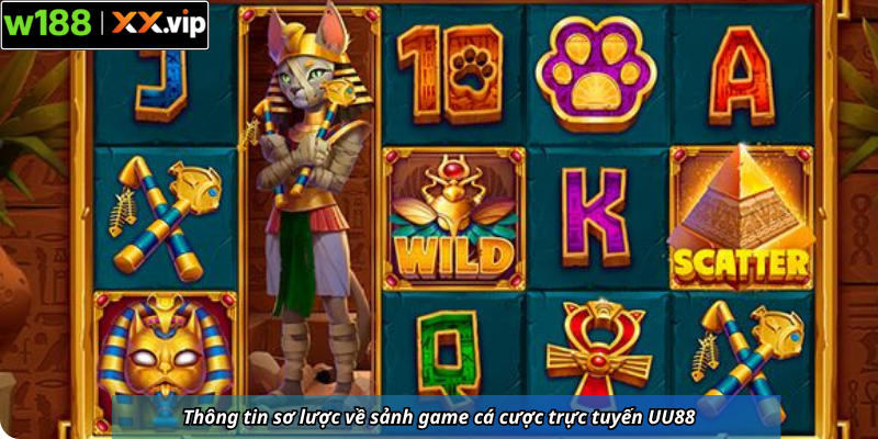 Thông tin sơ lược về sảnh game cá cược trực tuyến UU88