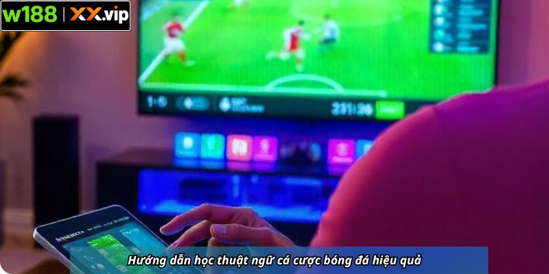 Hướng dẫn học thuật ngữ cá cược bóng đá hiệu quả
