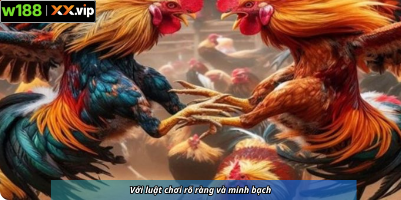 Với luật chơi rõ ràng và minh bạch