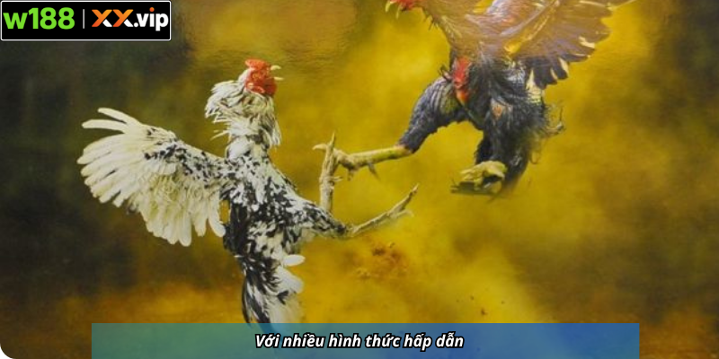 Với nhiều hình thức hấp dẫn