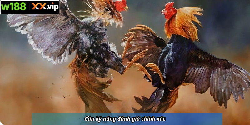 Cần kỹ năng đánh giá chính xác