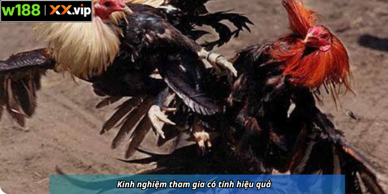 Kinh nghiệm tham gia có tính hiệu quả